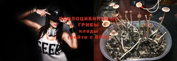 mix Арсеньев