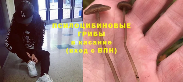 гидра Бикин