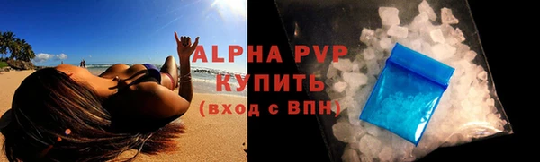 сатива Аркадак