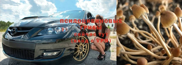 не бодяженный Армянск