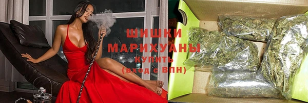 сатива Аркадак