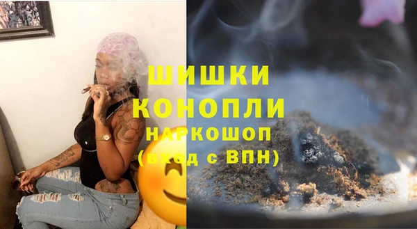 сатива Аркадак